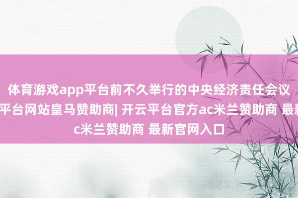 体育游戏app平台前不久举行的中央经济责任会议提倡-开云平台网站皇马赞助商| 开云平台官方ac米兰赞助商 最新官网入口